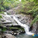 국립자연휴양림관리소 회문산자연휴양림 이미지