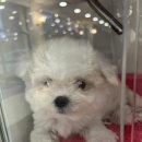 달링하이 포항점 이미지