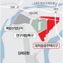 대저 이미지