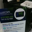 당필모