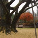 청심천배드민턴장 이미지