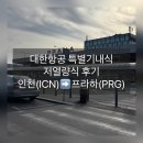 더(the)큰병원 | 대한항공 기내식 저열량식(Low Calorie Meal) 후기｜인천➡️프라하 노선