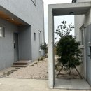 스테이리라 이미지