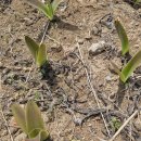 영평농장 이미지