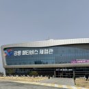 강릉 놀거리 아이와 실내 체험 메타버스 예약 후기 키 제한 솔직후기