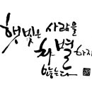 대천스토리 이미지