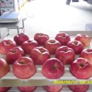 진영농장 이미지