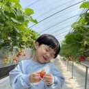 태완농장 이미지