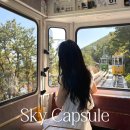 [경남/부산여행]부산해운대 스카이캡슐 후기(+꿀팁)