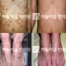 하늘조경원 이미지