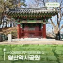 상주 복룡동 석조여래좌상 | 경북 상주 가볼만한곳 왕산역사공원 보물찾듯 산책&lt;with&gt; 노포 고려분식 커피팀버