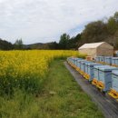 경남양봉산업 이미지