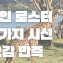 로스팅 프로젝트 이미지