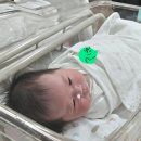 샘모텔 | 시흥 라임산후조리원 3주 후기 (진실된 솔직함)