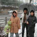 수락초교 이미지