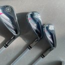 GOLF ⛳️ 골프용품 야마하 씨즈 골프채 / 보그너 캐디백 / 나이키 골프화 후기