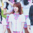 미야와키 사쿠라 카카오 검색결과