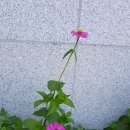 마산문학관 이미지