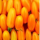 조은농산물 - 제주시 서회천서3길 60-11 | 조은농산물