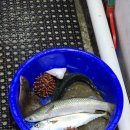 상원 | 속초맛집" 설악항회센터, 상원이네 내돈내산 후기