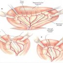 해든고양이병원 이미지
