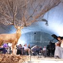 DMZ 오픈 페스티벌(오픈콘서트2) 이미지