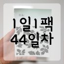 아리따움목동 | [1일 1팩] 44일차 한율 자연을 닮은 시트 마스크 어린쑥 아리따움 세일 구매 후기