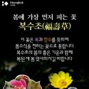 건강하개 이미지