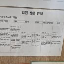 송파 고은빛 산부인과 응급 제왕 출산 후기 (feat. 오소영 원장님)