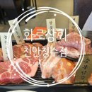 천안청수동 맛집 탐방 화로상회 천안청수점에서 즐기는 신선한 고기