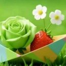 4월24일(금)서울방~ [항상 감사하는 마음] 이미지