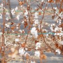 남평문씨본리세거지 주차장 이미지