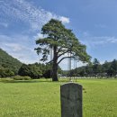 동기 야유회 「속리산 세조길」, 조선 세조가 요양차 다녀간 산길 이미지