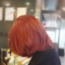 인헤어(Inhair)