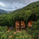 숲속오두막 이미지