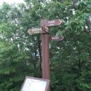 삼가초등학교 앞 이미지