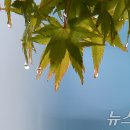 (주)영동환경 이미지