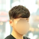 새내기투