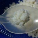 버섯공방