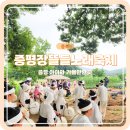 장뜰두레놀이 | 6월 충북 증평 장뜰 들노래 축제 기본정보
