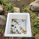 범서(병설)유치원 이미지