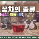 식용꽃차를 알아보자! #소백산꽃차이야기 - 6차로 이미지