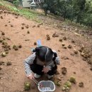 밤이농장 이미지