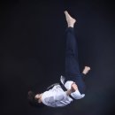 사계절 태권도 이미지