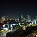 소나무 휘트니스 이미지