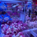 인형뽑기샵 이미지