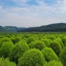 연천삼곶리돌무지무덤 이미지