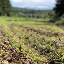 은미농장 이미지