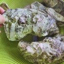 복만수산