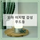 오아 이지탭 감성 무드등 침실 침대 신생아 수유등 수면등 취침등 터치 조명 램프